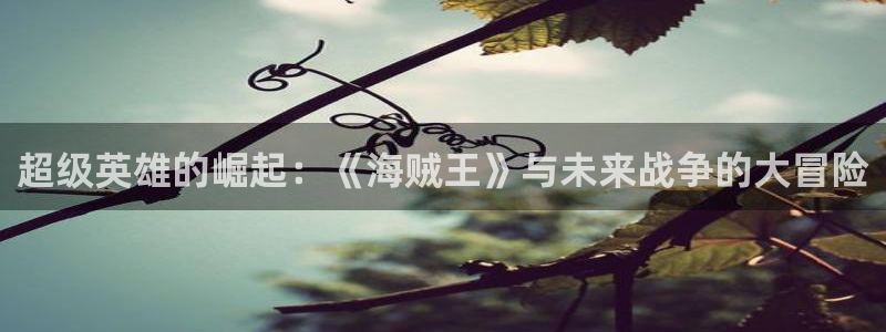 嘿咻汗汗漫画：超级英雄的崛起：《海贼王》与未来战争的大冒险