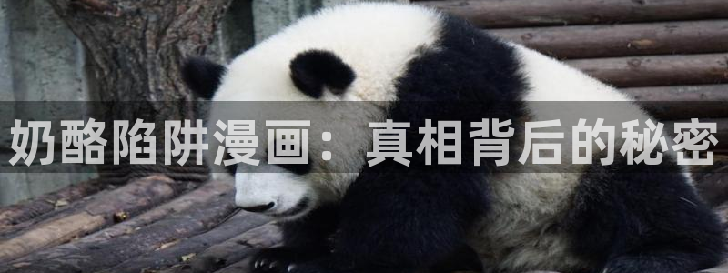 汗汗漫画在线观看入口：奶酪陷阱漫画：真相背后的秘密