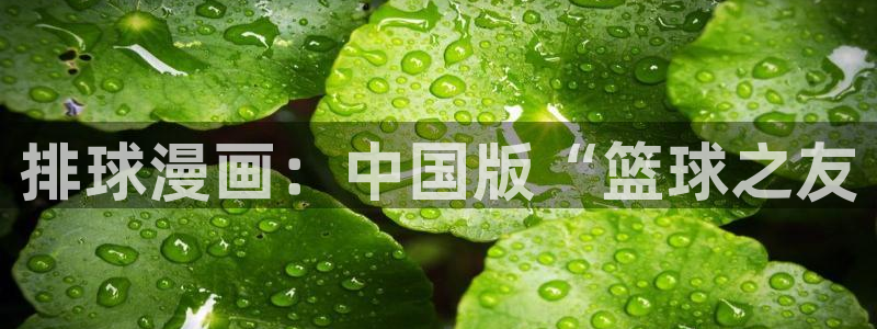 日本汗汗漫画：排球漫画：中国版“篮球之友