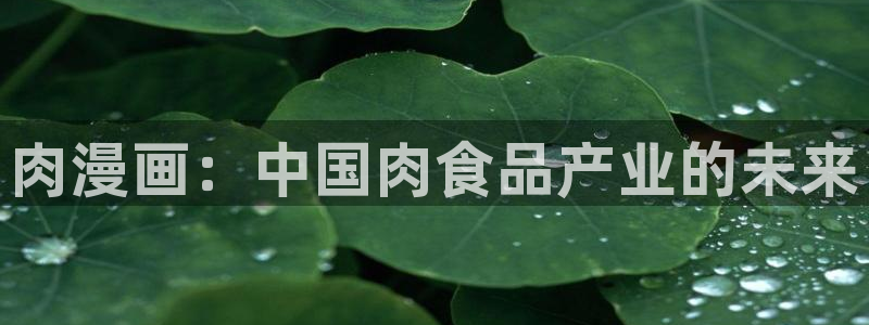 汗汗漫画最新网址：肉漫画：中国肉食品产业的未来
