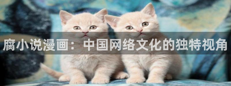 女神汗汗漫画sss：腐小说漫画：中国网络文化的独特视角