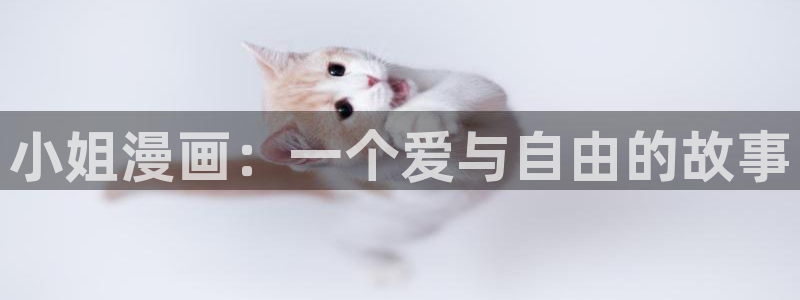 汗汗漫画官方网站：小姐漫画：一个爱与自由的故事