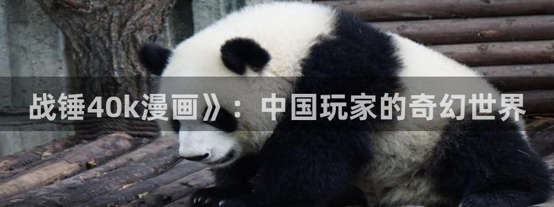 汗汗漫画免费无遮掩免费：战锤40k漫画》：中国玩家的奇幻世界