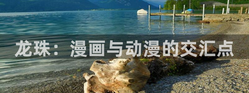 汗汗漫画在线阅读：龙珠：漫画与动漫的交汇点