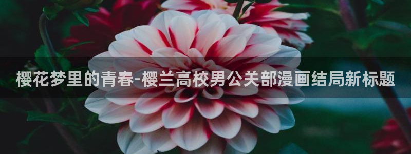 羞羞漫画一一汗汗漫画：樱花梦里的青春-樱兰高校男公关部漫画结局新标题