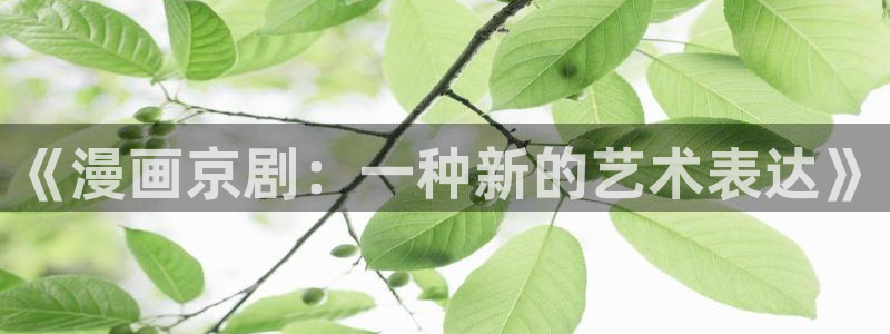 好看的韩国漫画汗汗漫画：《漫画京剧：一种新的艺术表达》
